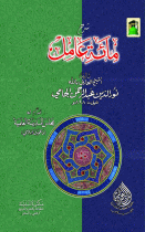 شرح مائة عامل